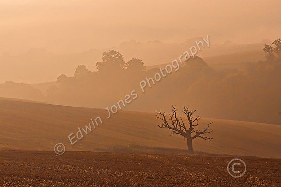 Misty Downland Dawn Houghton