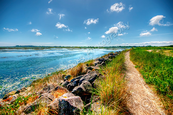 Pagham Harbour Path Sussex