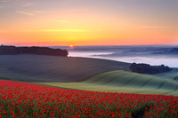 Poppies Dawn Bury Hill and Arun Valley (as seen on TV)