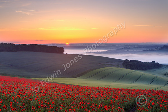 Poppies Dawn Bury Hill and Arun Valley (as seen on TV)