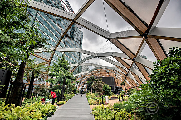 Canary Wharf Crossrail Station Garden