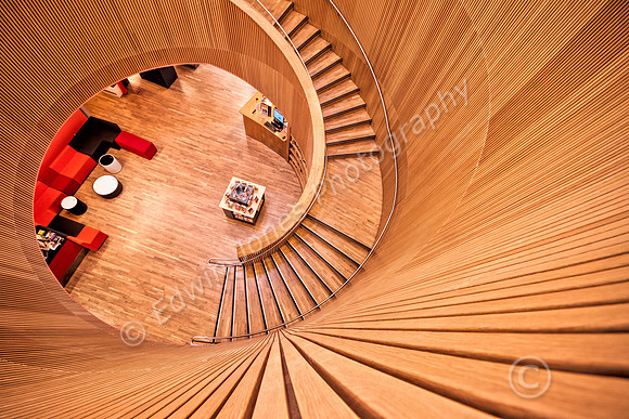 Spiral In Wood Canada Water