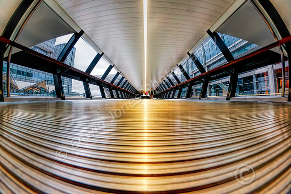 Boarding Tunnel to the Station