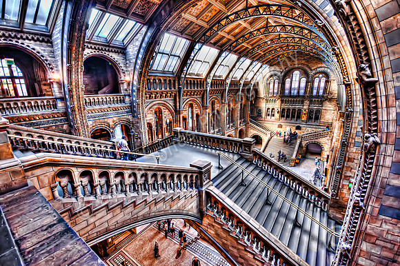 Natural History Museum Staircase to Hogwarts