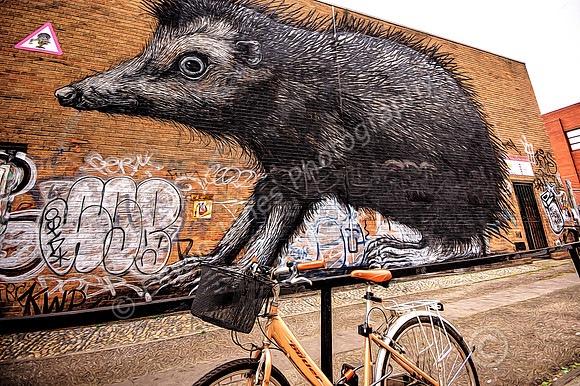 Really Must Get a Bigger Bike
