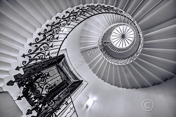 Tulip Stairs Spiral To The Eye