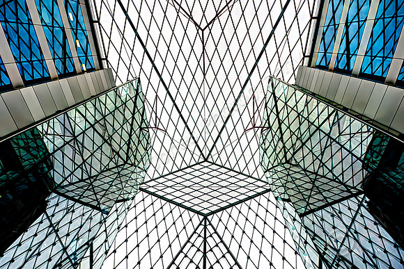 Web of Shapes and Lines