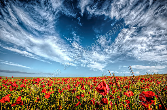 Poppy Field Sky Hole