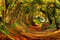 Autumn Path