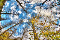 Arundel Autumn Sky