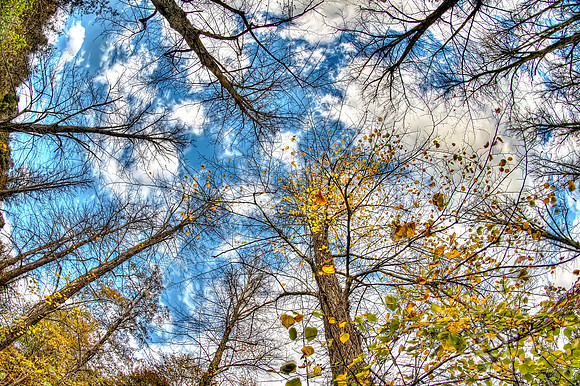 Arundel Autumn Sky