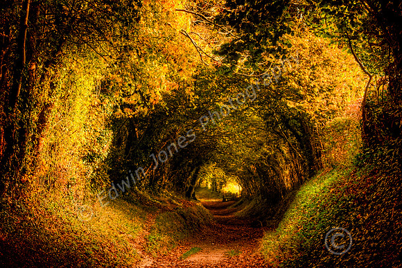Hobbit Path to the Gate Halnaker