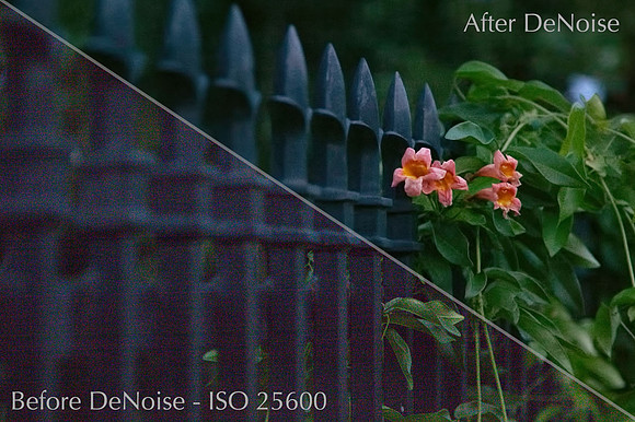 fence_BA
