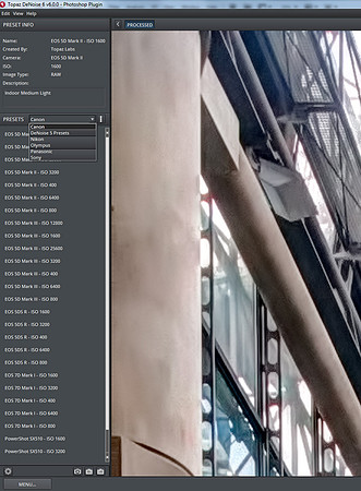 DeNoise Presets