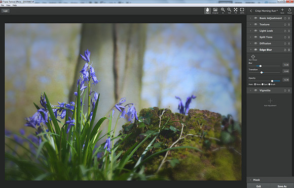 Capture1BluebellsAdjusted copy
