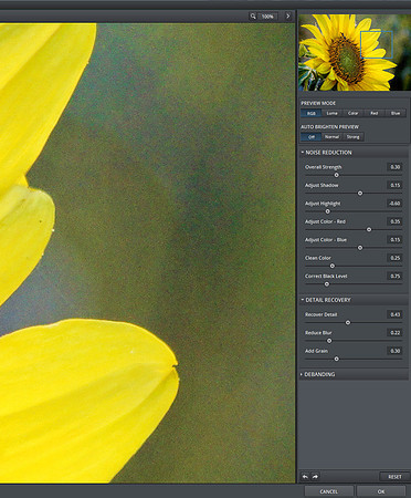 SunflowerDenoiseBefore