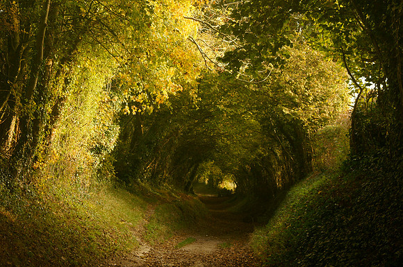 Path to Gateway Original copy
