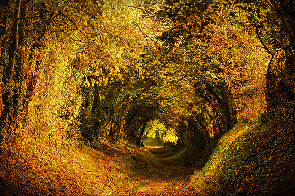 Path to Gateway Edited Done copy